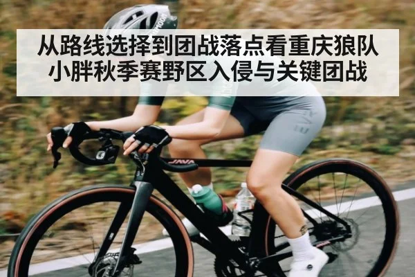 从路线选择到团战落点看重庆狼队小胖秋季赛野区入侵与关键团战
